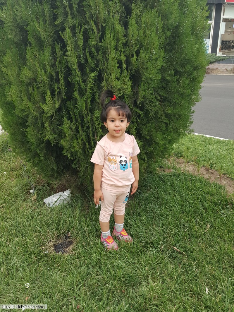 نیل آی در تیر ۱۴۰۱