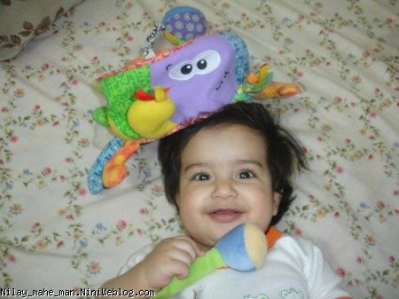 نیلای و خرچنگ