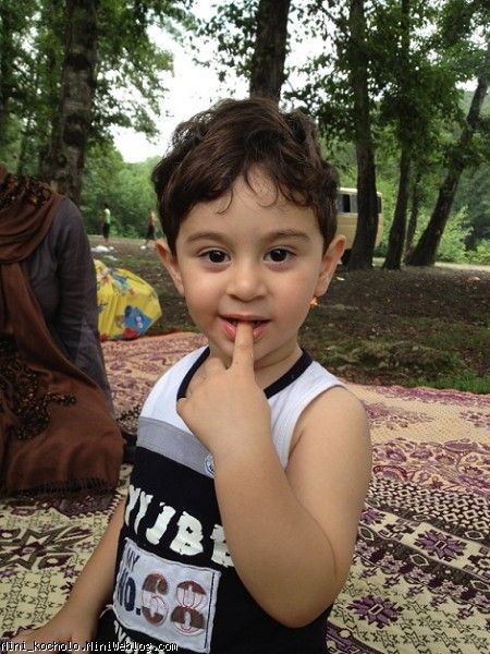 mohamad moien