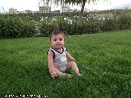 parke faraz