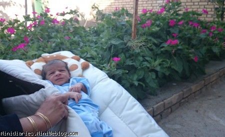 با گلها