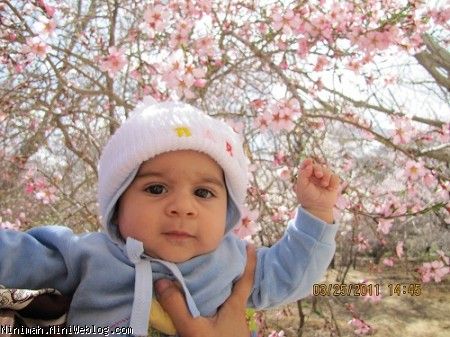 پارسا در باغ شوهر خاله مامان (یزد)
