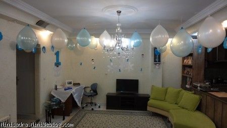 تولد