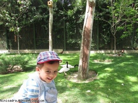 باغ پرندگان