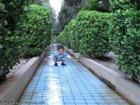 باغ ارم