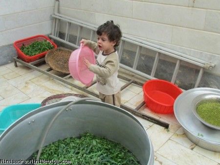 نذری