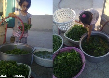 نيايش جون 2 سال و 9 ماهه