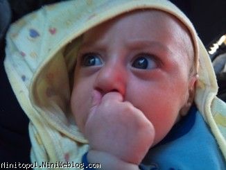 شایان در مسیر برگشت2