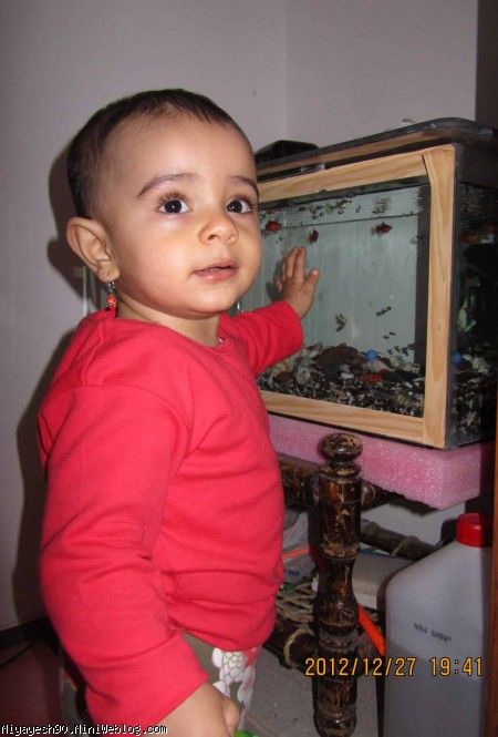 کنار ماهی ها