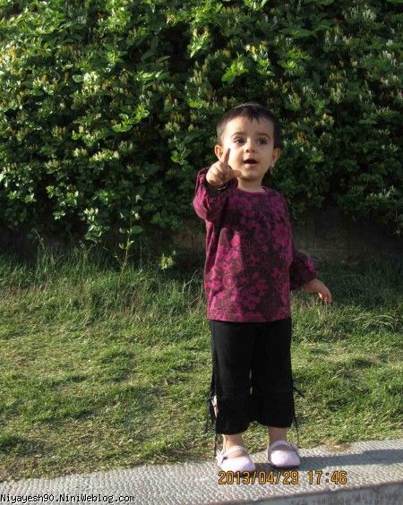 اشاره به آب زاینده رود می کنم