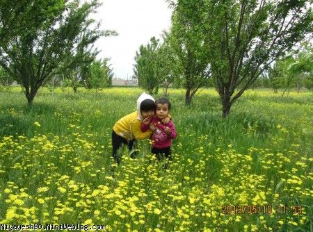 محبت دختر خاله ای