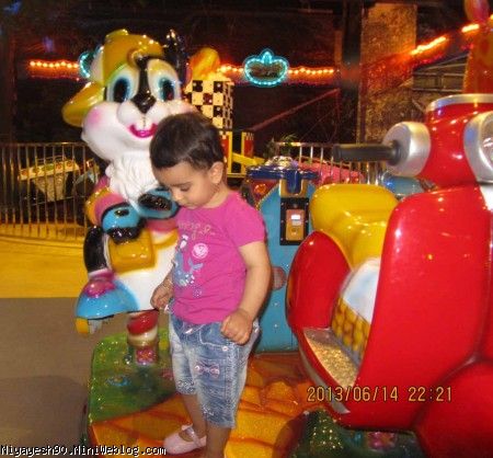 کنار سنجاب