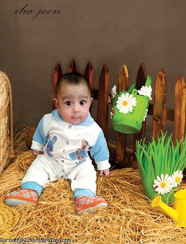 ایلیا