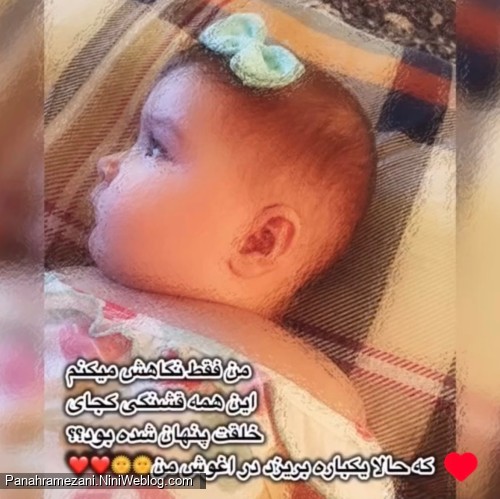 زیبای خلقت❤️