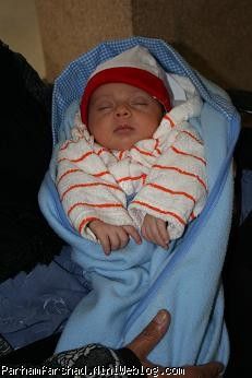 parhamfarshad/13555081692.jpg?33