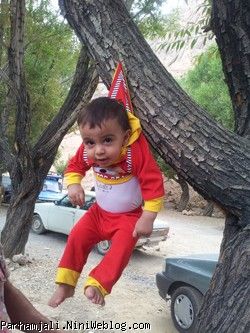 پرهام درختی