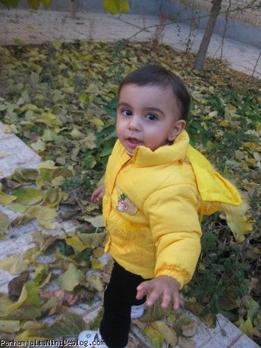 پرهام پاییزی