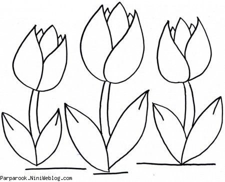 رنگ آمیزی گل لاله