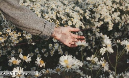 آخرین پست ۱۲ سالگی!🌱 + امتحانات