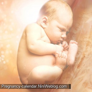 وضعیت جنین در هفته 39 بارداری