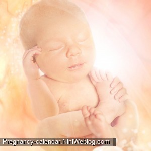 وضعیت جنین در هفته 36 بارداری