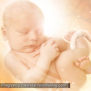 وضعیت جنین در هفته 34 بارداری