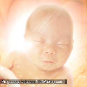وضعیت جنین در هفته 33 بارداری