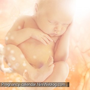 وضعیت جنین در هفته 32 بارداری