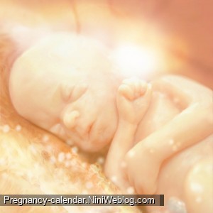 وضعیت جنین در هفته 18 بارداری