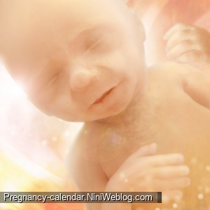 وضعیت جنین در هفته 16 بارداری