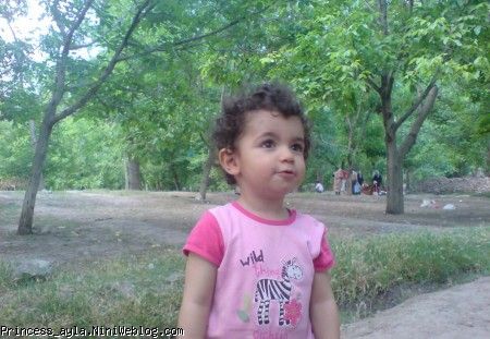 آیلادر باغ گردو