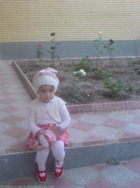 آیلا گلی
