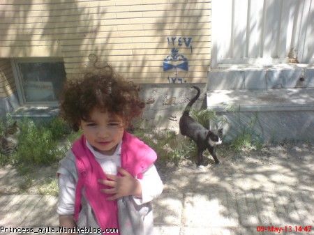 آیلا و گربه 1
