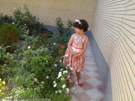 عروسک نازم