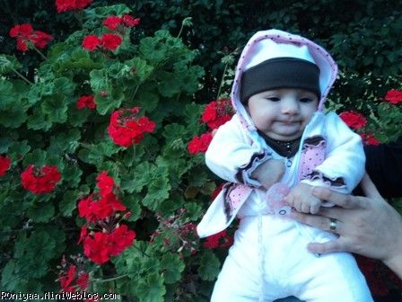 رونیاااااااااا