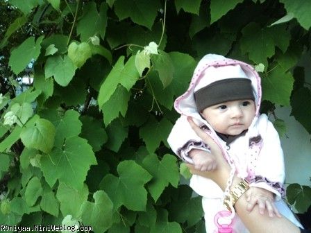 رونیااااااااا