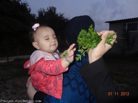 رونیاااااااااااا