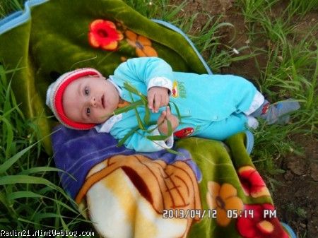 سبزه