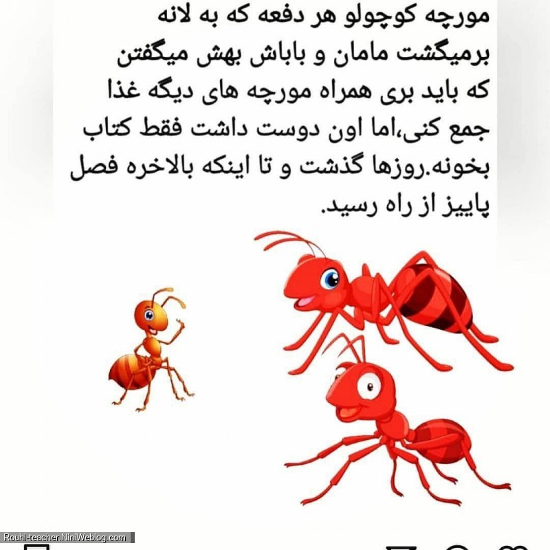 داستان کودکانه مورچه کتاب خوان - 5