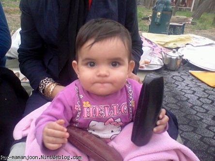 مــــــــفــــس طــــــــــلایــــــــــی