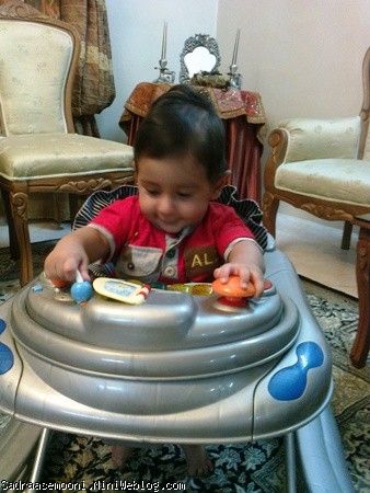 كشفيات كوچلوي ما
