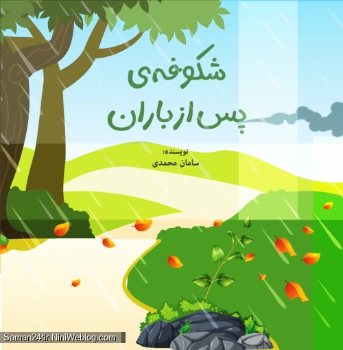 شکوفه‌ی پس از باران