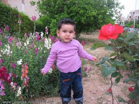 جم،نوروز 90