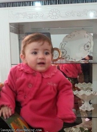 سانای - عمه نین چیله پایی