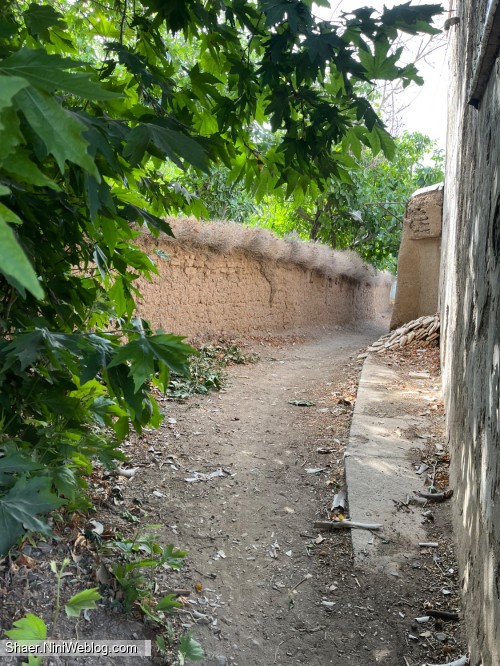 سالها دل طلب جام جم از ما میکرد