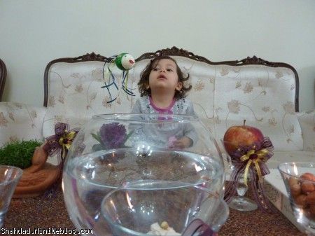 قربون نگاهت