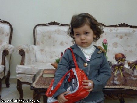فدات شم 