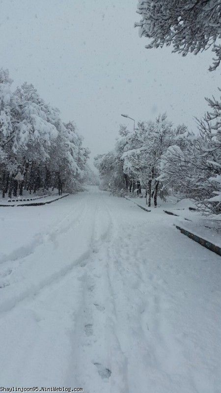 بارش برف سنگین 25 بهمن 95