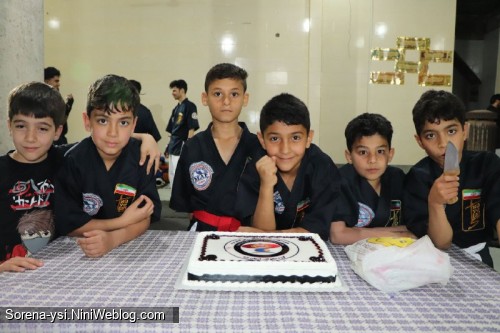 رزمیکار