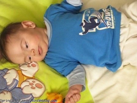 بازی با عروسک بوقی